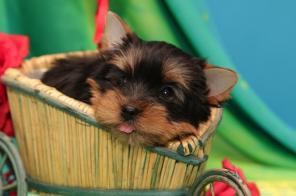 ������������ ����� ����������� ��������