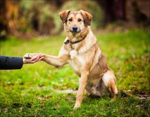 ������� ��� ���� - ������ ���� � ��������� � ������ ����