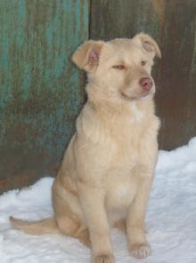 ������� �����