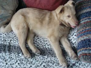 ������� �����