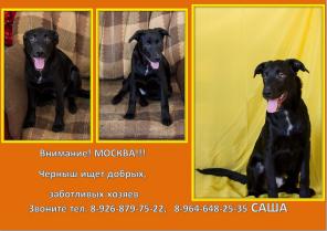 ������ ���� ���������� ������