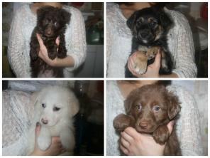 �������������� ����� � ���