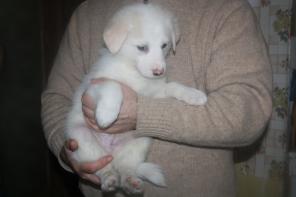 �������������� ����� � ���