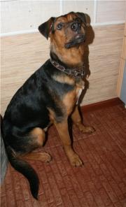 ����� ���������� ����� � ������ ����