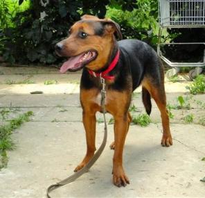 ����� ���������� ����� � ������ ����