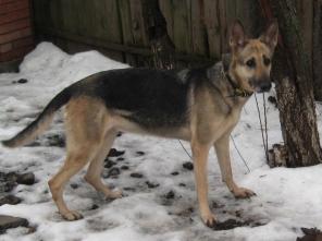 ������������������� ������� � ���