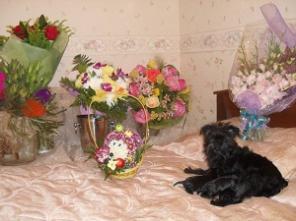 ������ ������ ������������