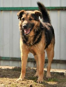 �����, ����� �������. � ������ ����