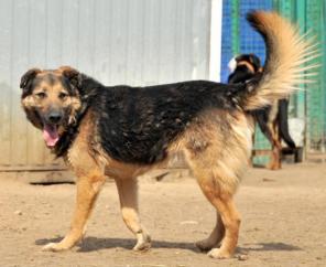 �����, ����� �������. � ������ ����