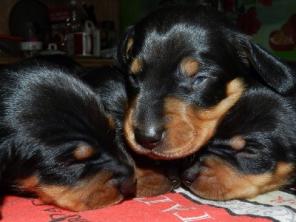 �������������� ����� �����