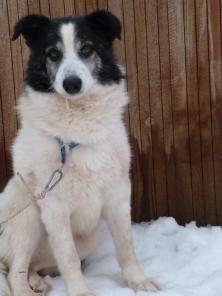 ���, ��������� �������� ����� � ���