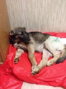 ������� ����� - ������� ����� (��������)