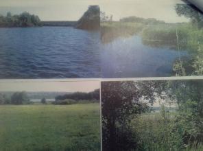 ��������� ��������� ������� �� ������ �. �����