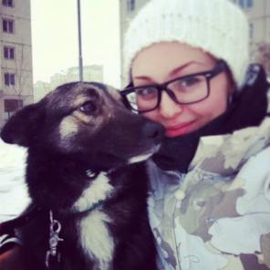 Мини-овчарка Мася в дар.