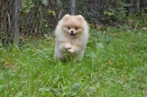 ����� ����������� ������