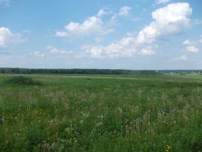 ���.������� 14 ���.�.�������������� ��������� �-�