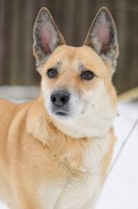 ����. ������ �� ���� ����� ���� ���! (���)