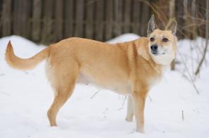 ����. ������ �� ���� ����� ���� ���! (���)