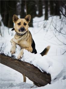 ������� � ������ ����.