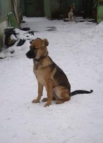 ��������! ��������! ��������!!!