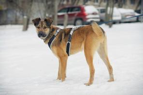 �����. ������� ������� ������ � ������� ����! (���)