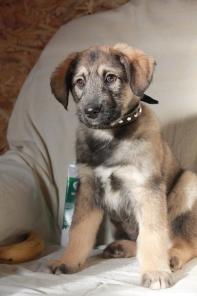 � ������ ���� �������� � ������ ����� ������!