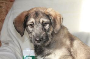 � ������ ���� �������� � ������ ����� ������!