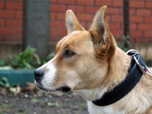 ����� ��������� �������� ������ ����� � ��� � ������ ����