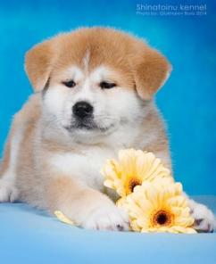 ����� ����� ��� ������ ������