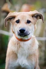 ����� �� ��������� ������ � ���!