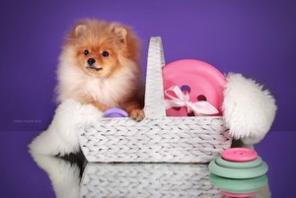 ����������� ���� �����