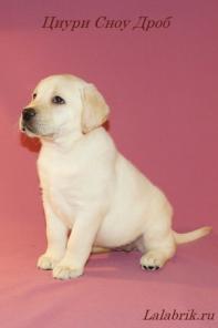 �������� ����� ���������