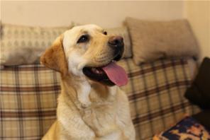 ������� �������� ���� � ���