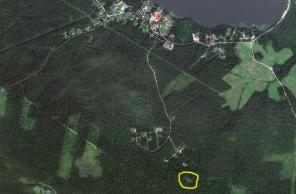 ������� 10 ����� � ���������� ������. ����� ���.