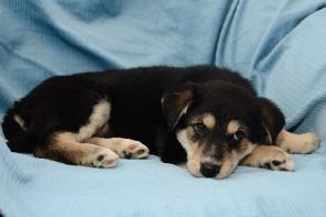 ������ � ������� ���� � ��������