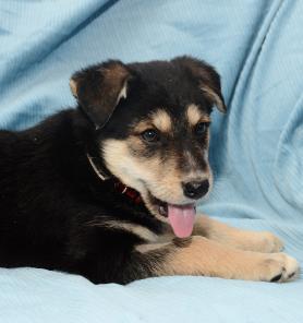 ������ � ������� ���� � ��������