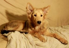 ����� ������������� �����-������� (5 �.)