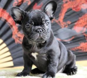 ������������ �������� ������� ����� ������ ������