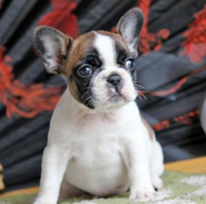 ������������ �������� ������� ����� ������ ������