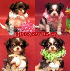 �������� �������������� ����� ����������� ������.