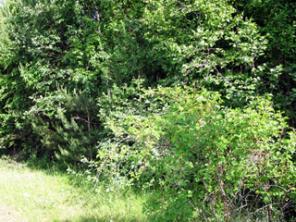 ��������� ������� 20 ����� ��� � ����� ������������� ���������