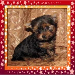 ����������� ������ �������� � �������