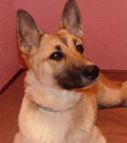 ����� � ��� ��������� �����.