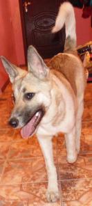 ����� � ��� ��������� �����.