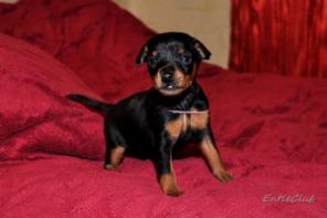 ����� ������������