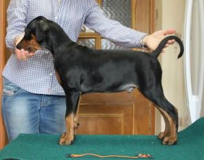 ��������� ������� �����