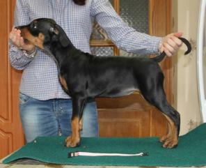 ��������� ������� �����