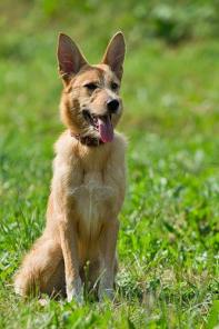 ������, ����������� ������ � ������� ����, � ���