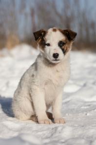 ������� 3 ���. � ���