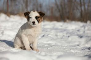 ������� 3 ���. � ���